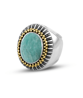 Bague Nomad une grave pollution 