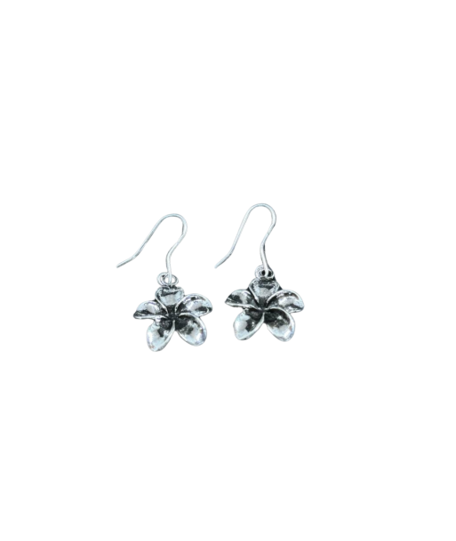 Boucles d'oreilles en argent Fleur de Champa du meilleur 